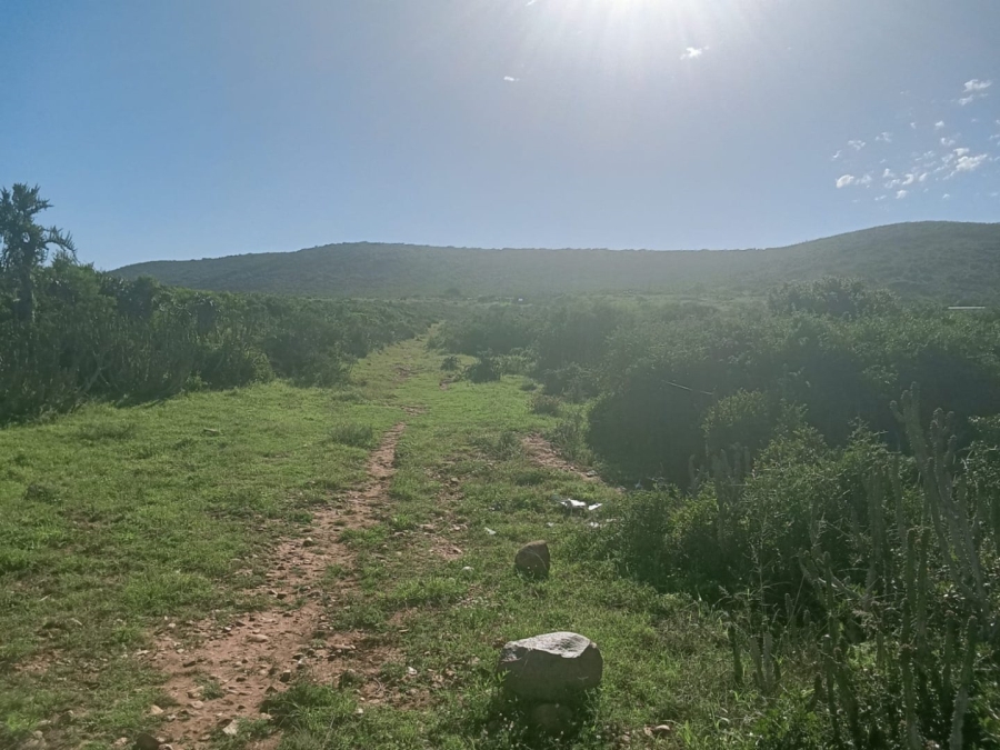 0 Bedroom Property for Sale in Alexander Park Industrial Eastern Cape